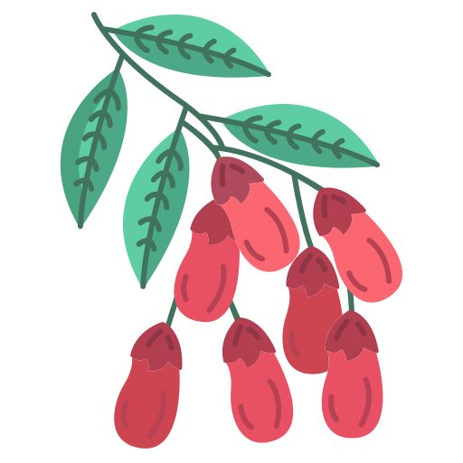 barberry - Существительное