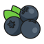 bilberry - Существительное